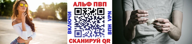APVP СК  Кириши 