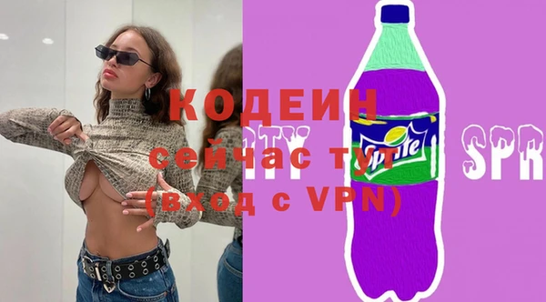 дживик Пестово