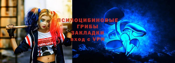 Альфа ПВП Пересвет