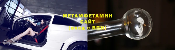 прущие грибы Покров
