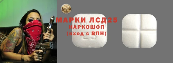 прущие грибы Покров