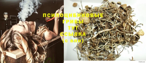 Альфа ПВП Пересвет