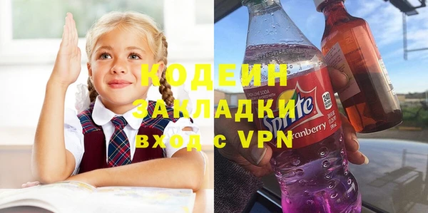 2c-b Гатчина