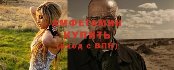 дживик Пестово