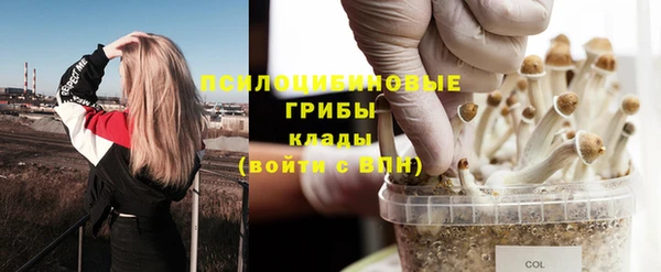 дживик Пестово