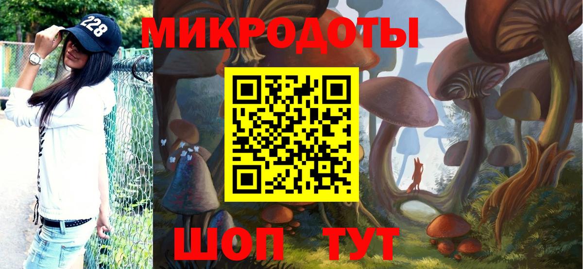 Галлюциногенные грибы MAGIC MUSHROOMS  Вход с VPN  Кириши 