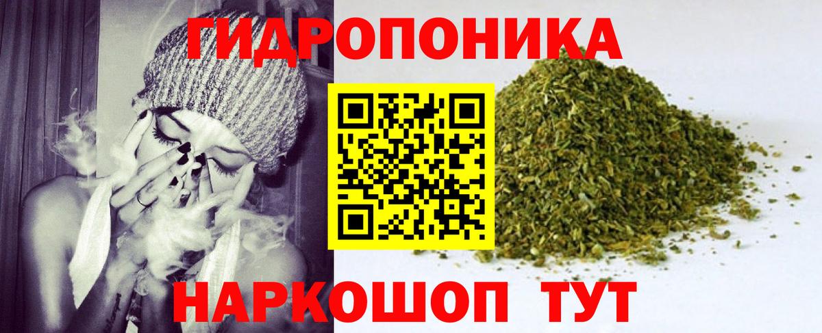 Каннабис гибрид  Вход с VPN  Каннабис семена  Кириши  Марихуана план  Конопля марихуана 